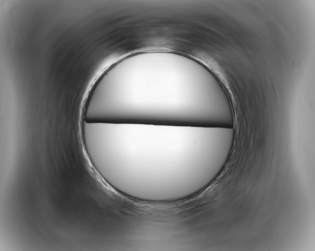 X0000086791488200704271820