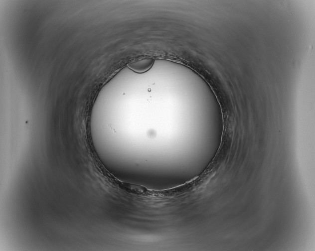 X0000086791489200704271820
