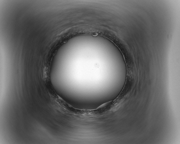 X0000086791490200704271820
