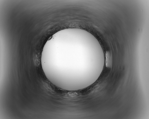 X0000086791491200704271820