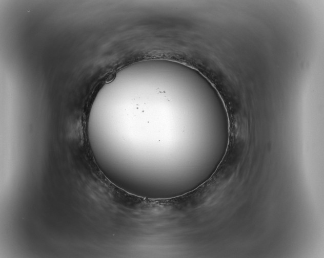 X0000086791493200704271820