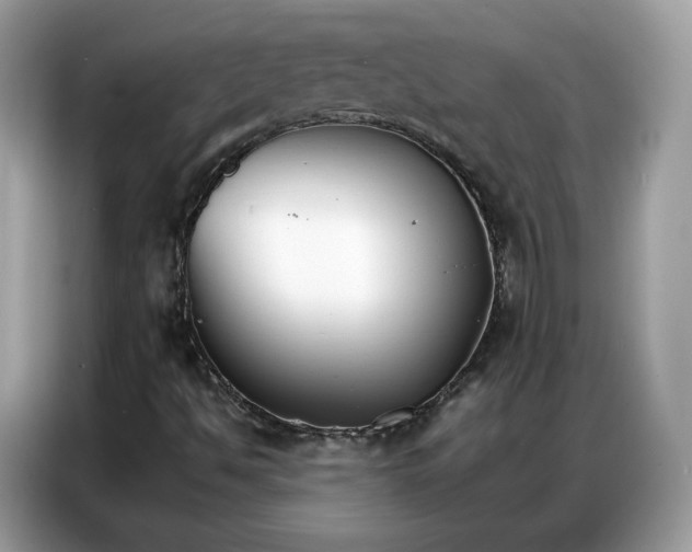 X0000086791494200704271820