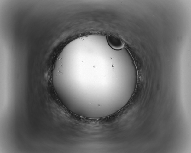 X0000086791495200704271820