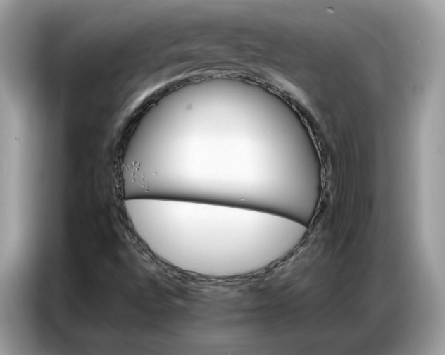 X0000086791496200704271820