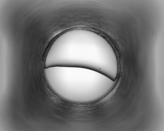 X0000086791497200704271820