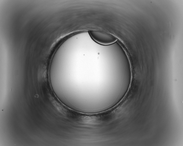 X0000086791499200704271820