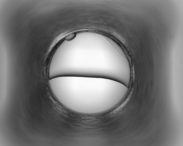X0000086791501200704271820
