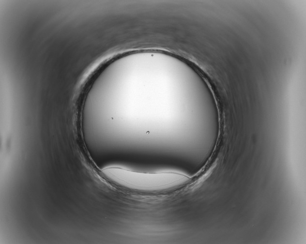 X0000086791502200704271820