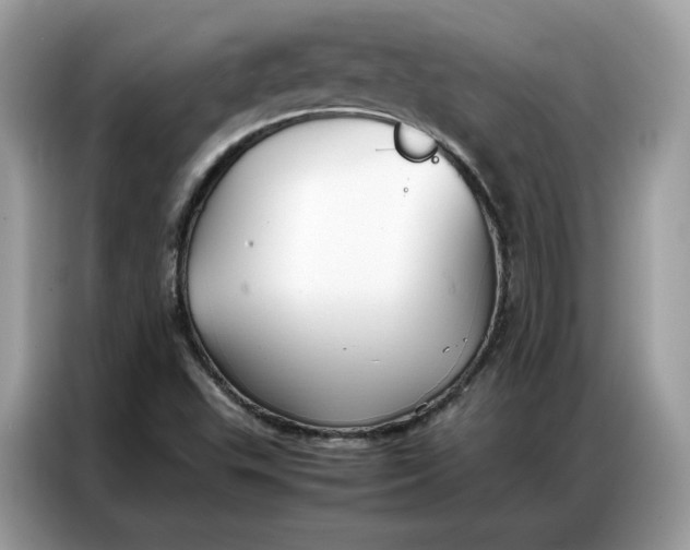 X0000086791503200704271820