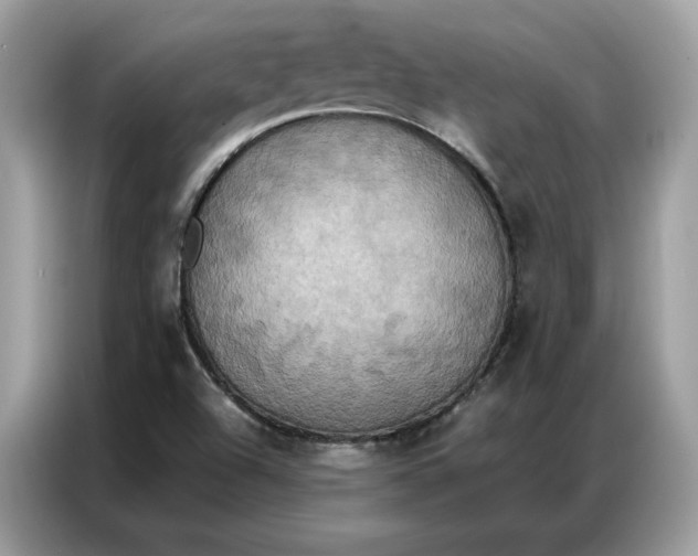 X0000086791504200704271820