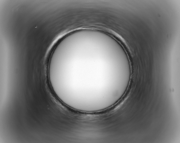 X0000086791506200704271820