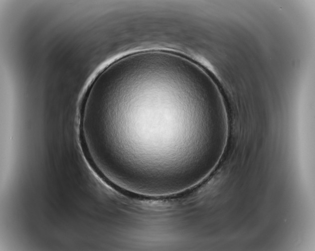 X0000086791508200704271820