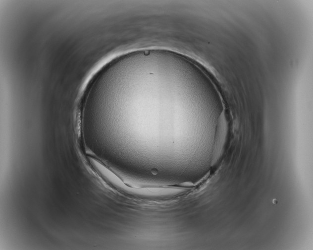 X0000086791510200704271820