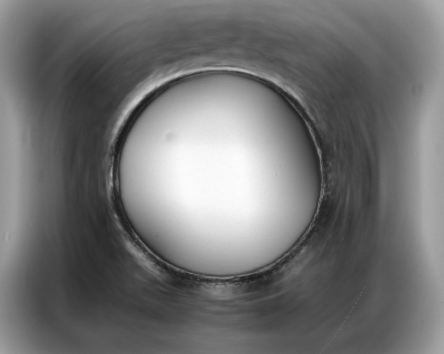 X0000086791511200704271820