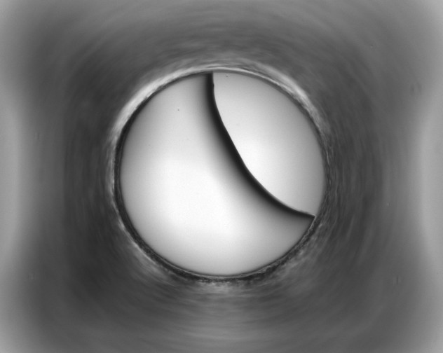 X0000086791512200704271820