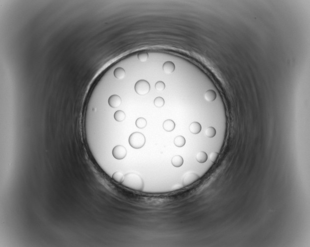 X0000086791513200704271820