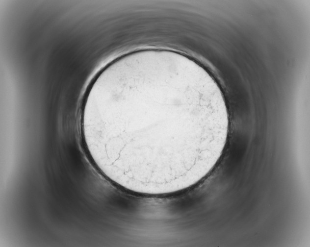 X0000086791514200704271820