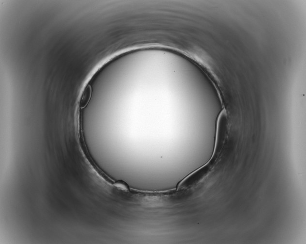 X0000086791516200704271820