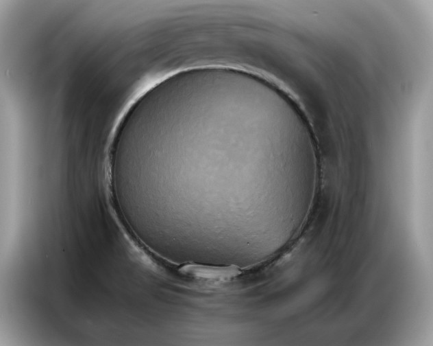X0000086791517200704271820