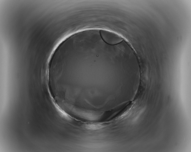 X0000086791519200704271820