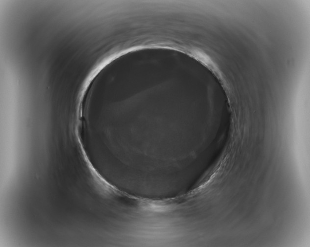 X0000086791520200704271820
