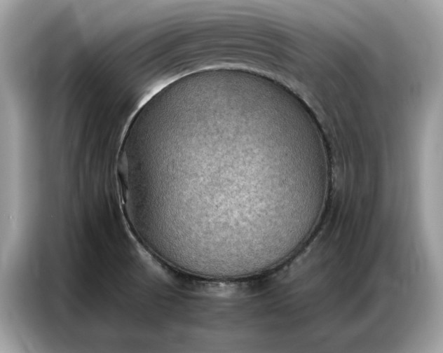 X0000086791521200704271820