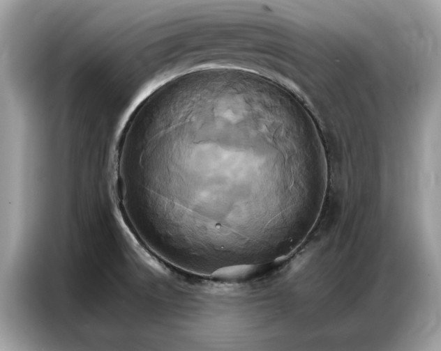 X0000086791522200704271820