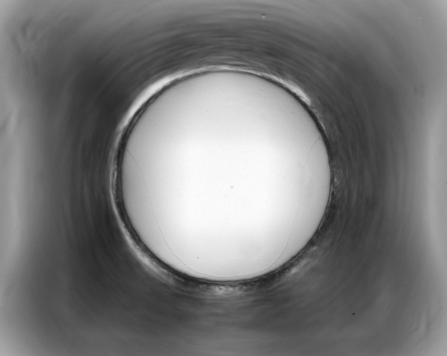 X0000086791523200704271820
