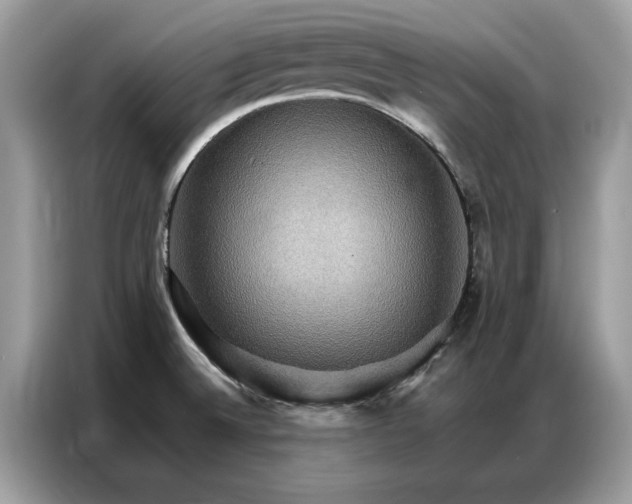 X0000086791524200704271820