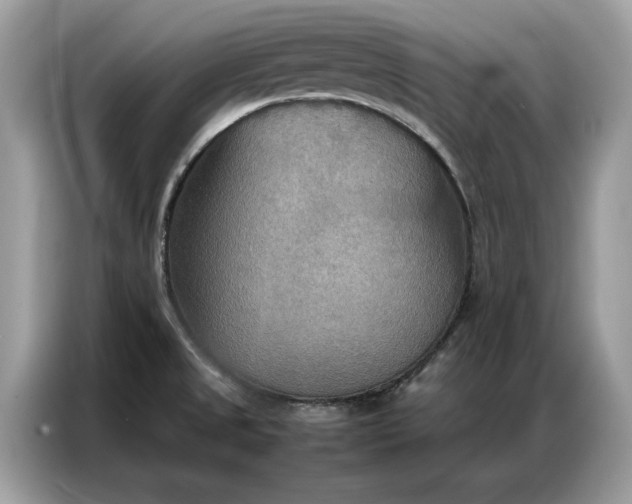X0000086791525200704271820