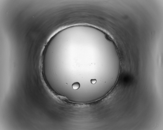 X0000086791526200704271820