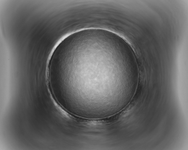 X0000086791527200704271820
