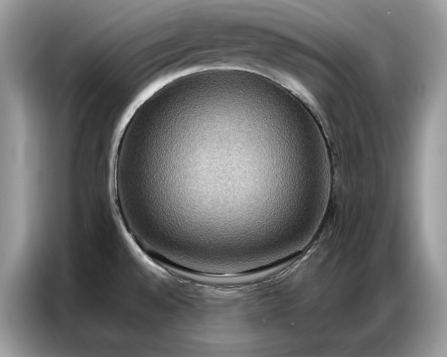 X0000086791528200704271820