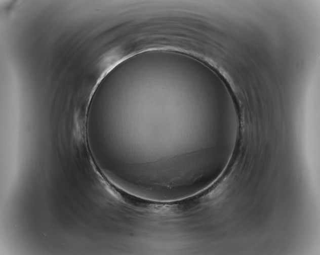 X0000086791529200704271820