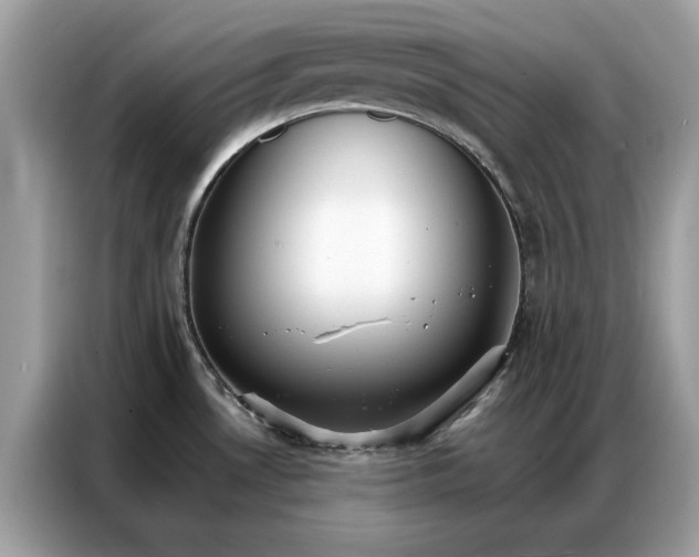 X0000086791530200704271820