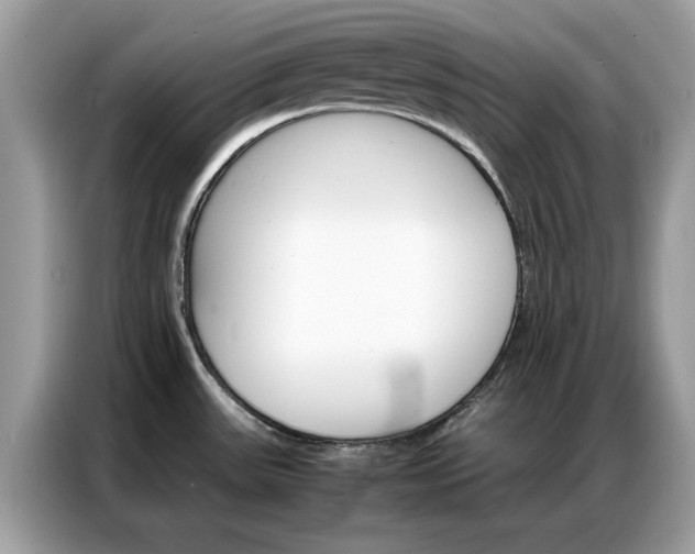 X0000086791531200704271820
