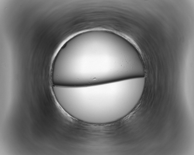 X0000086791532200704271820