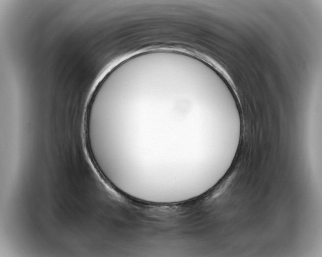 X0000086791533200704271820
