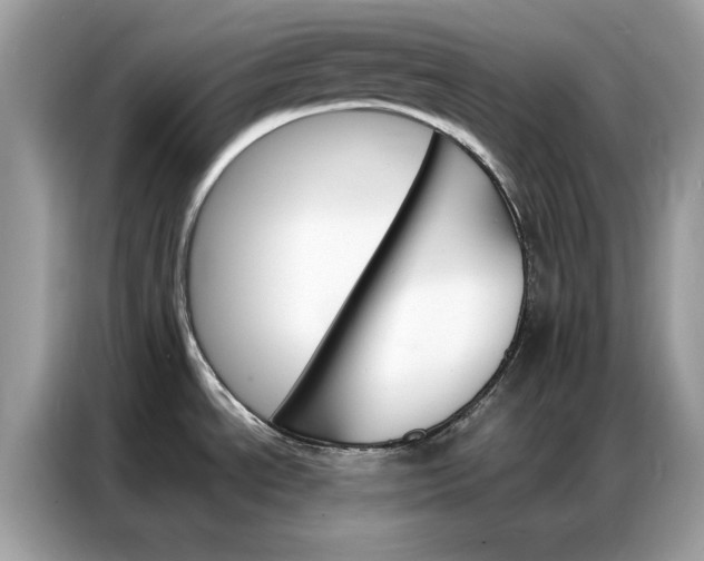 X0000086791534200704271820