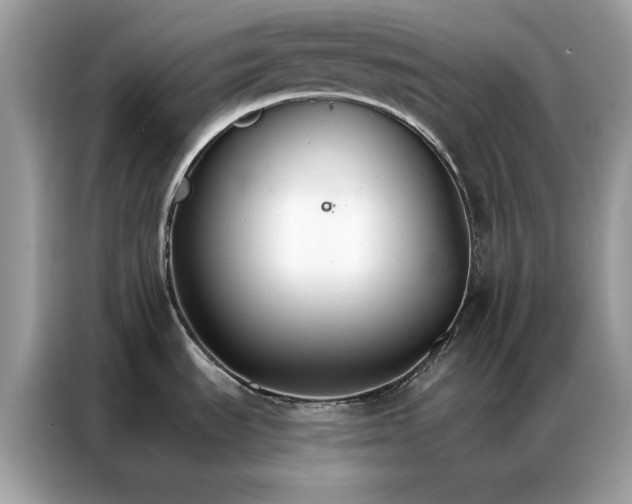 X0000086791535200704271820