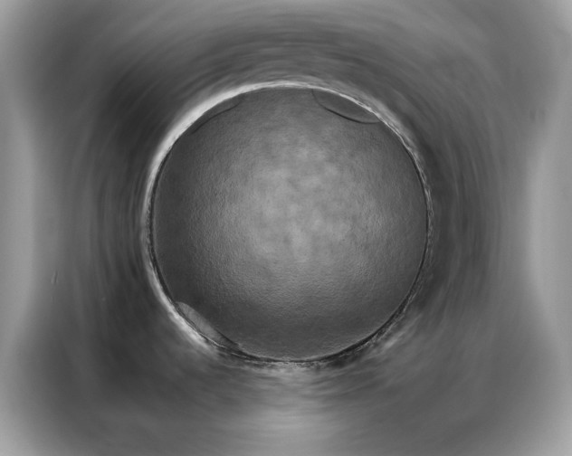 X0000086791536200704271820