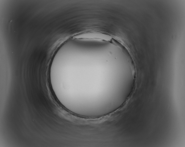 X0000086790001200705041557