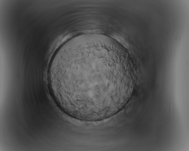 X0000086790002200705041557