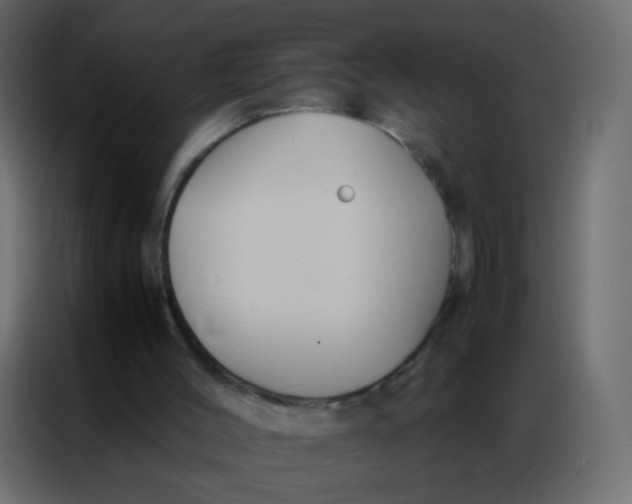 X0000086790004200705041557