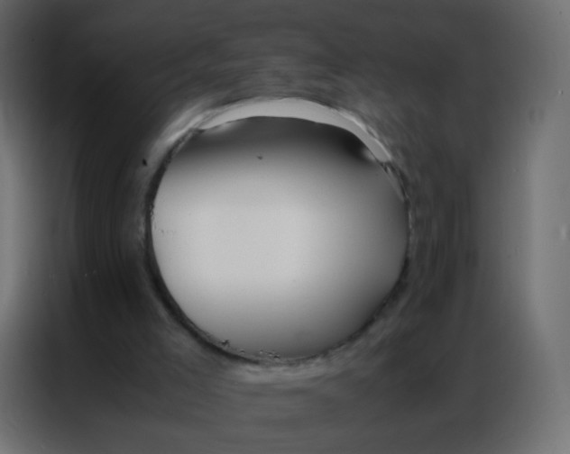 X0000086790005200705041557