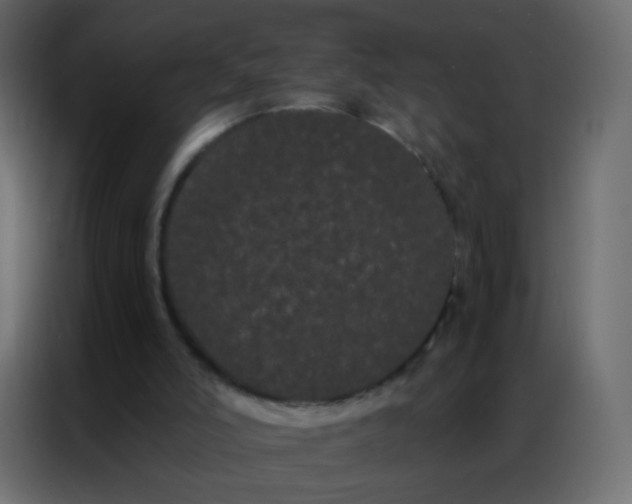 X0000086790006200705041557