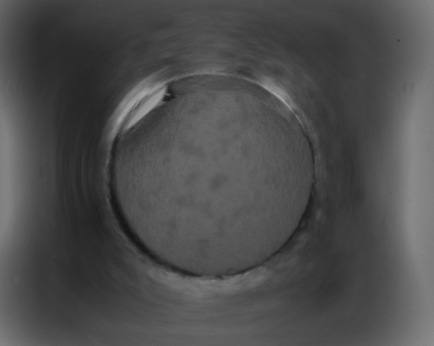 X0000086790007200705041557