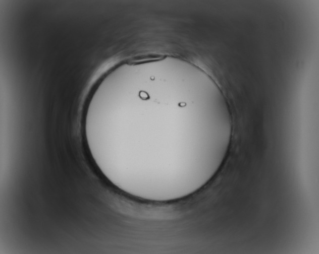 X0000086790008200705041557