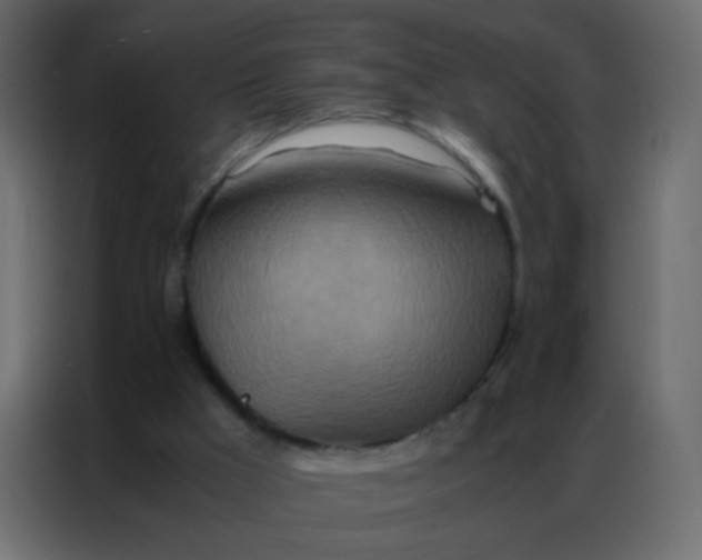 X0000086790009200705041557