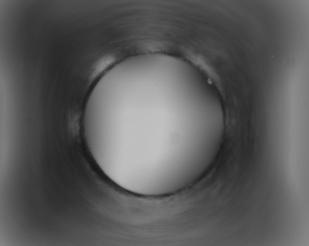 X0000086790010200705041557